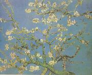 Vincent Van Gogh Blossoming Almond Tree (nn04) Norge oil painting reproduction